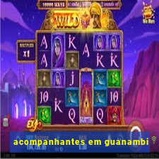 acompanhantes em guanambi